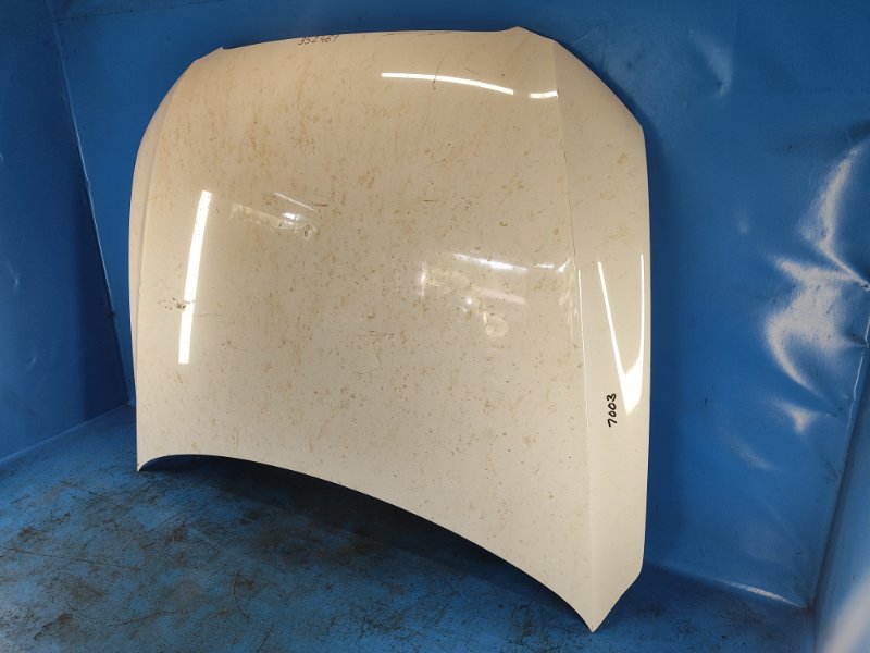 Hood of the Audi Q5 08-16