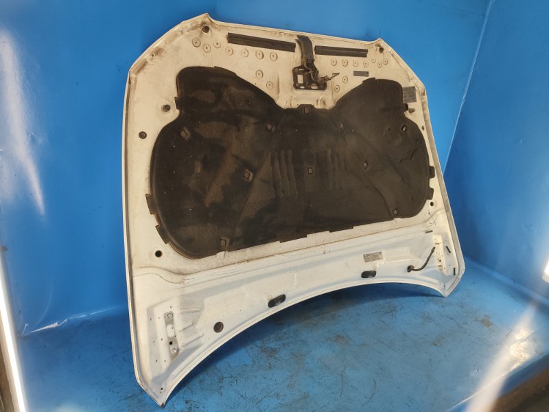 Hood of the Audi Q5 08-16