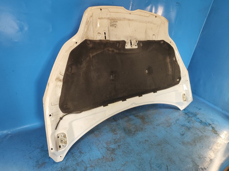 Ford Focus 2014 hood