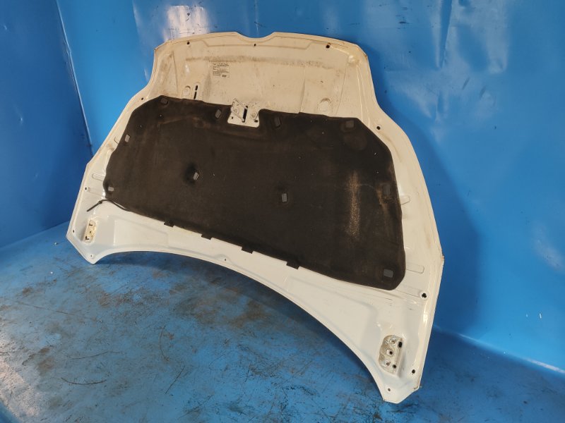 Ford Focus 2014 hood