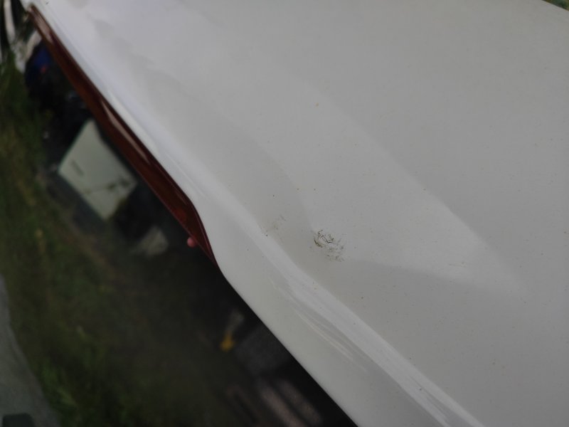 Ford Escape trunk lid 12-19 2018