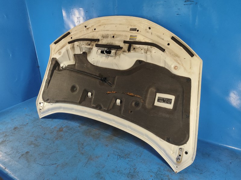Nissan X-Trail/Rogue T32 13-20 2016 Hood
