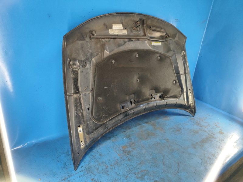 Hood of the 2012 Dodge Journey 08-20