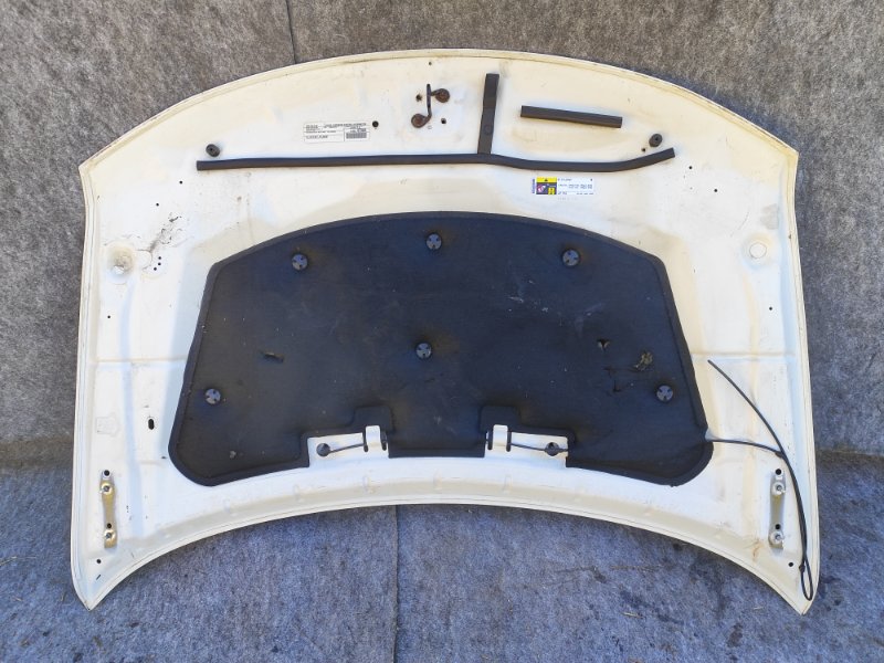 Hood of the 2016 Dodge Journey 08-20