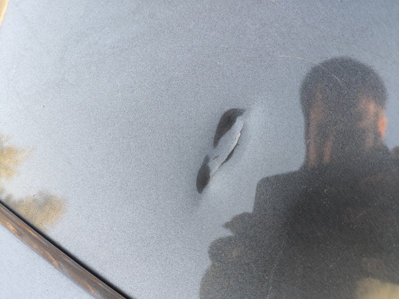 Ford Mustang 15-2017 trunk lid