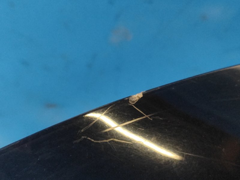 Exterior lamp KIA SOUL PS 13-19 2014 Lev.