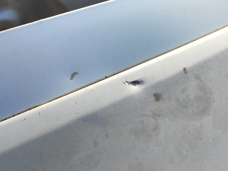 Trunk lid for Hyundai Accent RB 10-2011