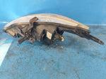 Headlight NISSAN VERSA B17 11-19 2015 Right