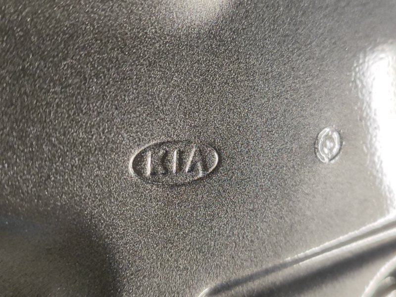 Door KIA SOUL PS 13-19 Right Rear