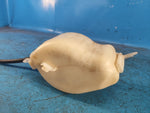 Expansion tank for Dodge Journey 08-20 2016