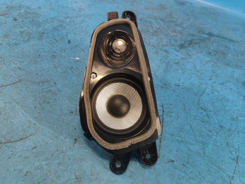 Speaker BMW XM (G09) 23- 2023 Right