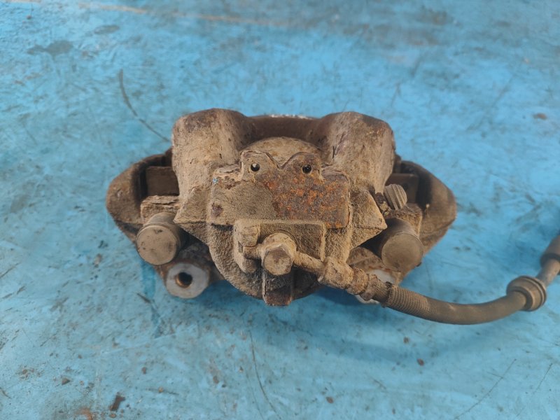 Image alt