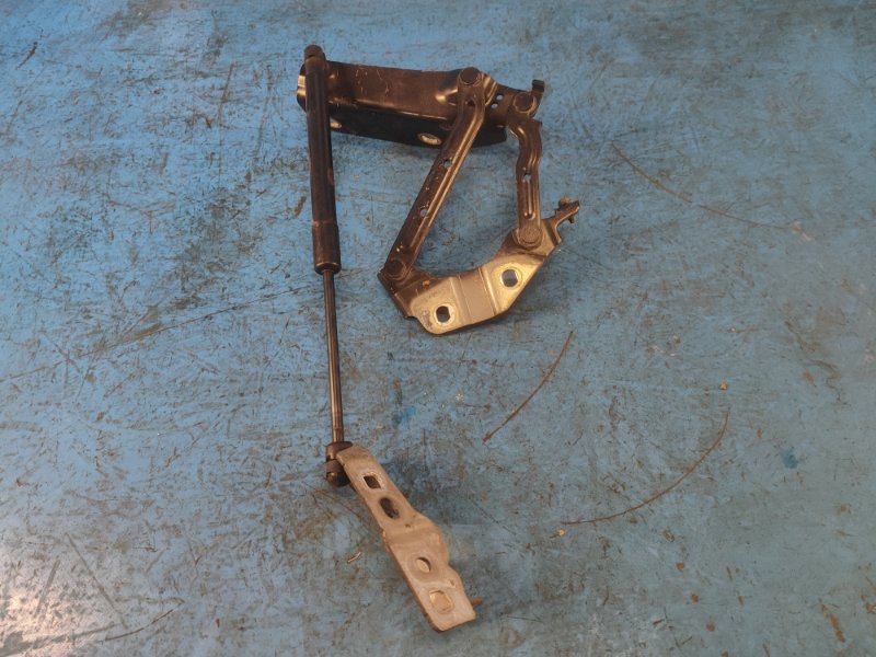 Image alt