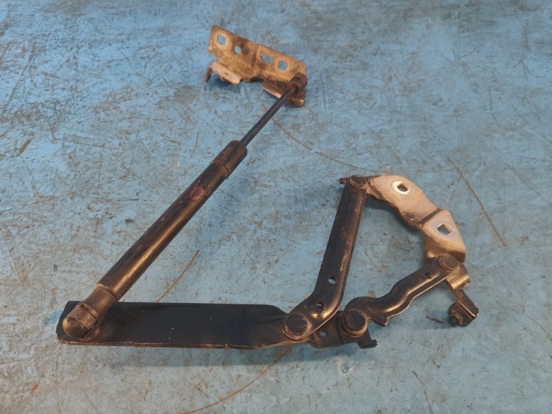 Hood hinge LAND ROVER DISCOVERY Sport 15-19 Left.