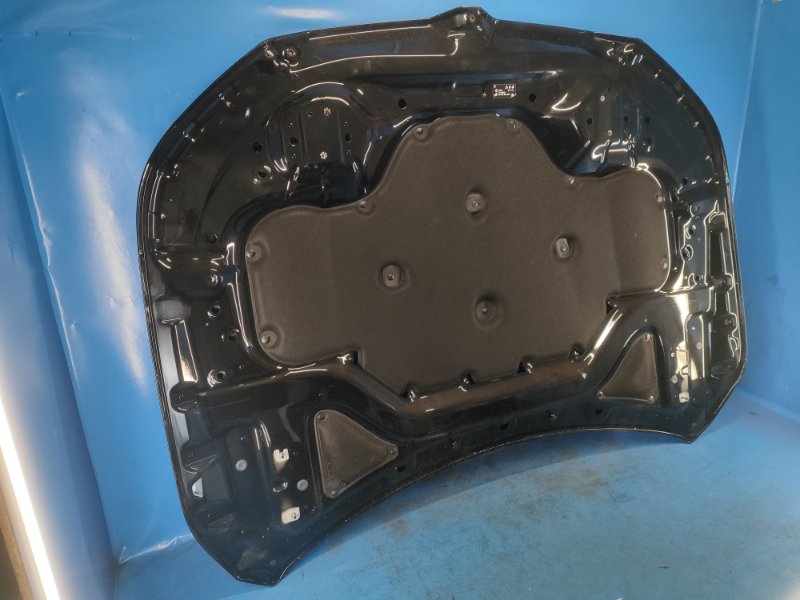 Hood BMW XM (G09) 23- 2023