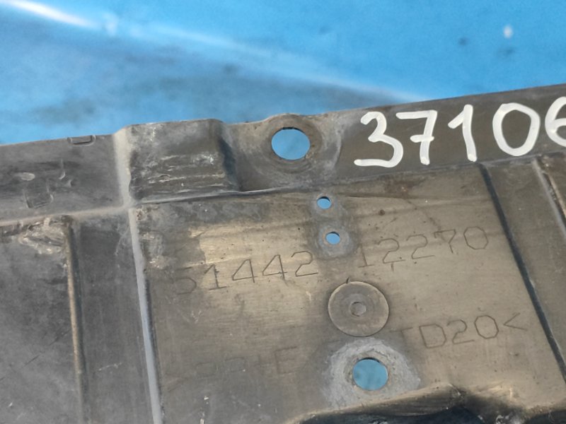 Motor protection LEXUS HS250H (ANF10) 09-12 2009 Rear