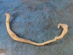 Windshield washer reservoir neck BMW 6 SERIES (F13) 12-18 2013