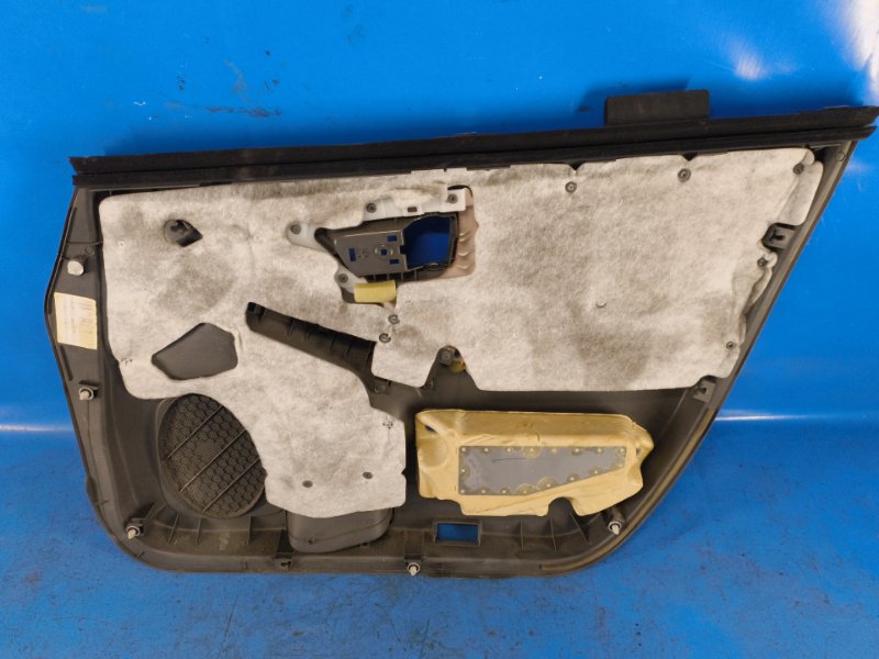 Door map TOYOTA PRIUS - 30 09-17 2009-2017 Front Left