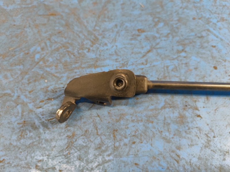 Hood shock absorber BMW 6 SERIES (F13) 12-18 2013 Left