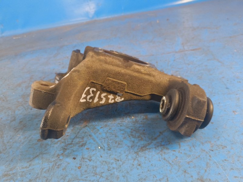 Trunnion LEXUS HS250H (ANF10) 09-12 2009 Left
