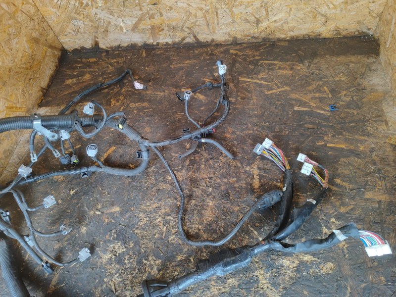 Bild-Alt-Text