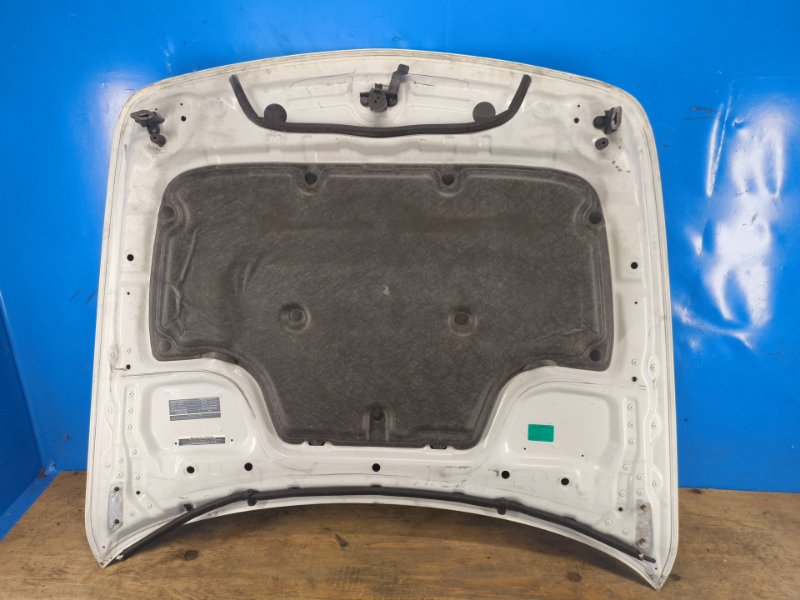 Hood INFINITI G25/G35/G37/Q40 06-14 2011