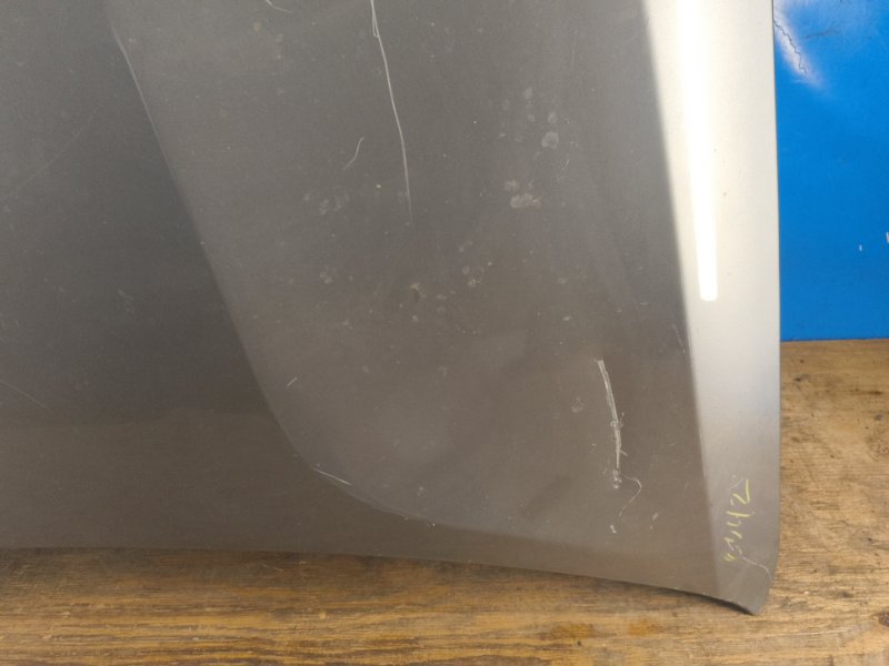 Hood BMW X5 (E70) 07-13 2011