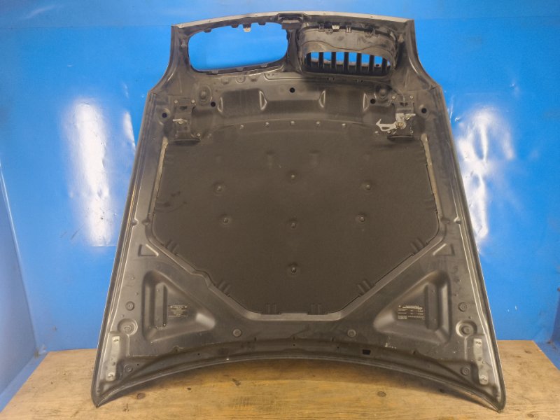 Hood BMW X5 (E70) 07-13 2011