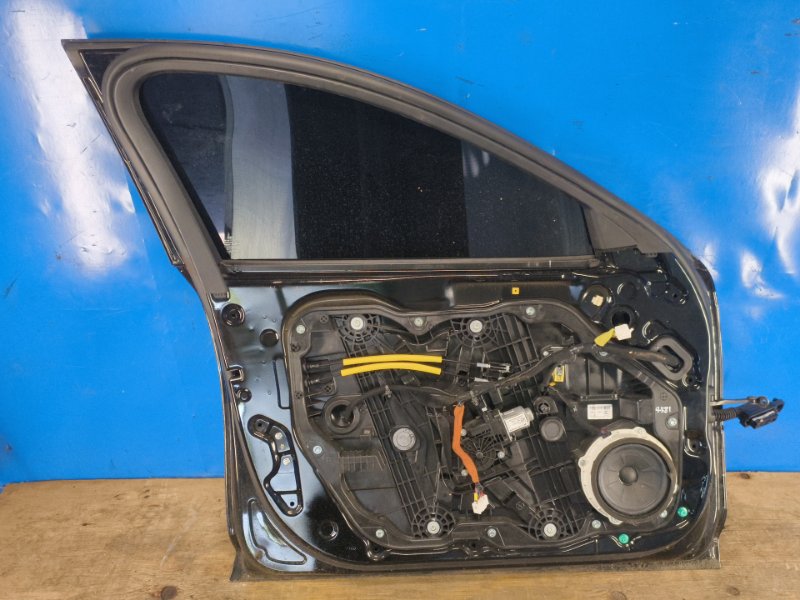 Door KIA STINGER (CK) 17- 2018 Front Left