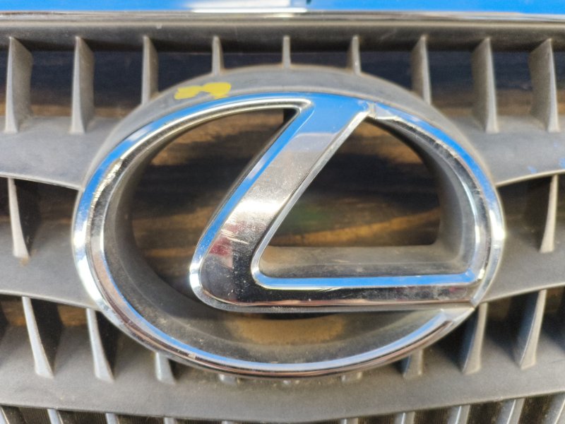 Radiator grille LEXUS RX300/330/350/400 03-09 2003-2009