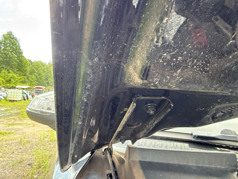 Hood AUDI Q7 15-19 2018