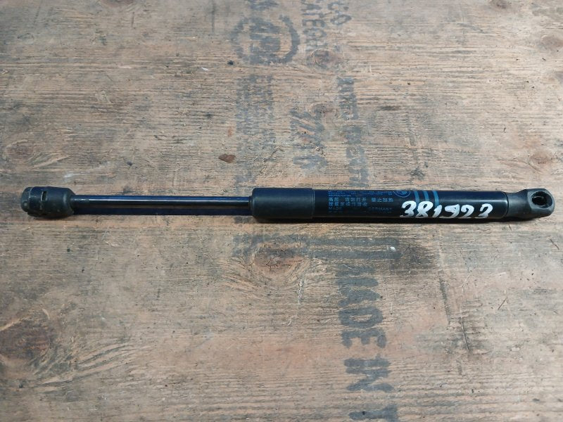 Hood shock absorber BMW 5 SERIES (F10) 11-13 2012
