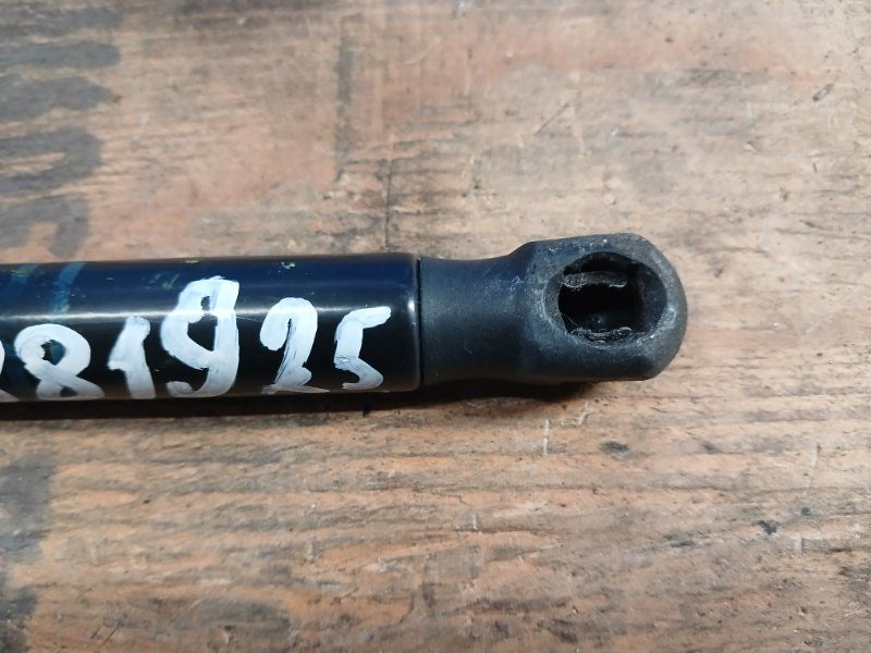 Hood shock absorber BMW 5 SERIES (F10) 11-13 2012